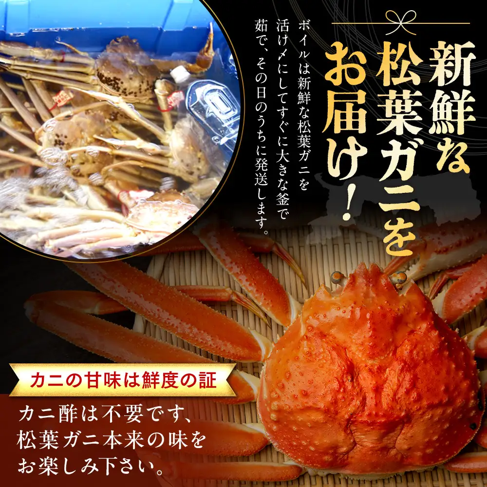 【ボイル】タグ付き 松葉ガニ 中1枚（700g前後） |  カニ 松葉ガニ タグ付き 【着日指定不可】※2026年11月上旬～2027年3月下旬頃に順次発送予定