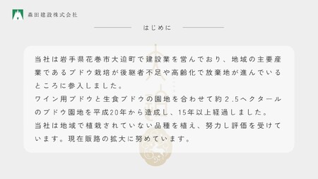 「早池峰の恵み」モリタワイン リースリング2019 ダム貯蔵ワイン 辛口　720ml×1本 【2106】