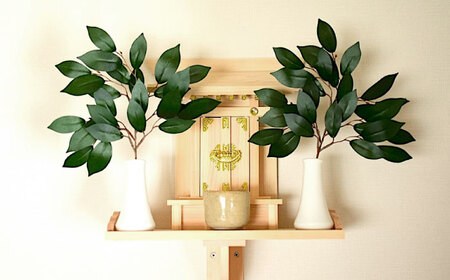 【全2回定期便】植物 備後・榊（サカキ）切り枝 １束サイズ1セット（2束入り） 広島県福山市/小林商事 本榊 さかき 国産 神棚 枝木 [BAEA011]