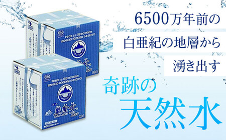 【全3回定期便】飲料 水 ミネラルウォーター 巌聖水6500 10L×2箱入り 広島県福山市/小林商事 ミネラルウォーター ペットボトル 10l 10リットル 保存用 備蓄 防災 [BAEA017]