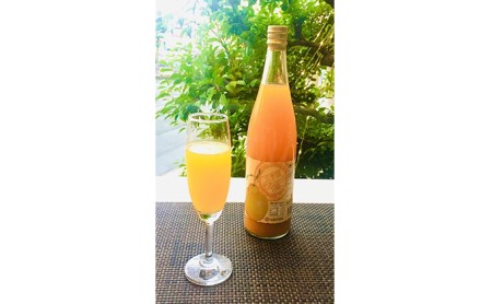 三ヶ日デコジュース100％ 720ml 3本入【配送不可：離島】 果汁飲料 野菜飲料 みかんジュース 