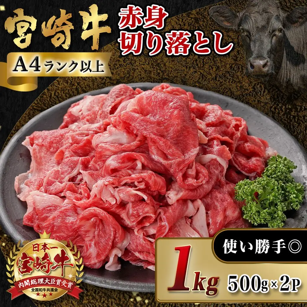 宮崎牛赤身切り落とし(500g×2P)〔AC-N403〕