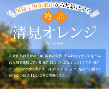 みかん【訳あり】 清見オレンジ 約2kg 【北海道・沖縄・離島配送不可】【BV90023-mrmt023A】