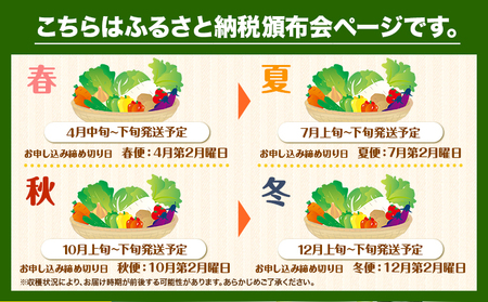 旬の新鮮な 野菜便 定期便 計4回お届け 各8～10品