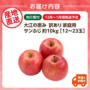大江の恵み 訳あり 家庭用サンふじ約10kg(12～23玉)【2026年12月中旬発送予定】 003-030