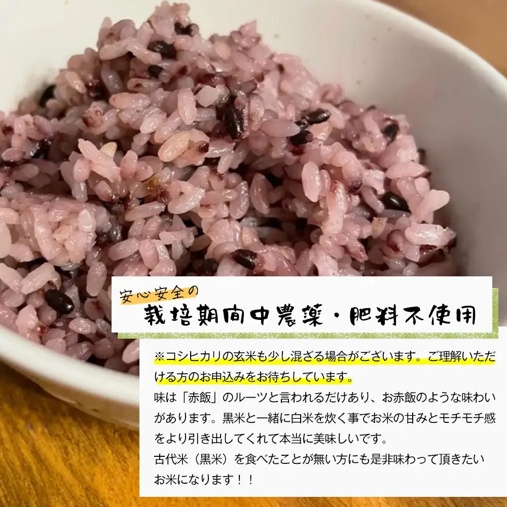 古代米（黒米）　希少！栽培期間中農薬・肥料不使用 1kg（500g×2PC）