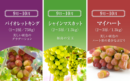 【先行予約 2025年発送】＼ぶどう3種食べくらべ定期便／ 3回発送 冷蔵 高級 種無し 種なし シャインマスカット ブドウ ぶどう 品種 果物 フルーツ 巨峰 美味しい 希少 人気 福島県 田村市 鈴木農園 