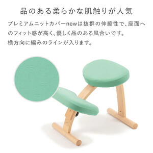 バランスイージー専用プレミアムニットカバーnew（ダークブラウン）はっ水加工【 チェアカバー 椅子カバー チェアカバー 椅子カバー チェアカバー 椅子カバー チェアカバー 椅子カバー 】