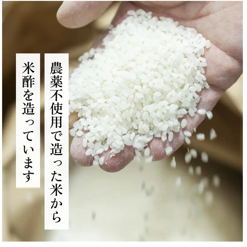 食べる富士酢（酢酸菌入り）6袋入 飯尾醸造 黒酢カプセル 富士酢 酢 お酢 マリネ ドレッシング 酢漬け 健康  美容 ギフト プレゼント myz03 myz09 myz11 myz22 myz23 myz26