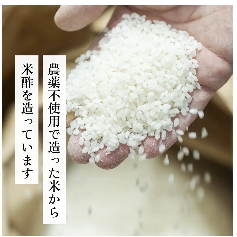 食べる富士酢（酢酸菌入り）12袋入 飯尾醸造 黒酢カプセル 富士酢 酢 お酢 マリネ ドレッシング 酢漬け 健康  美容 ギフト プレゼント myz03 myz11 myz22 myz26