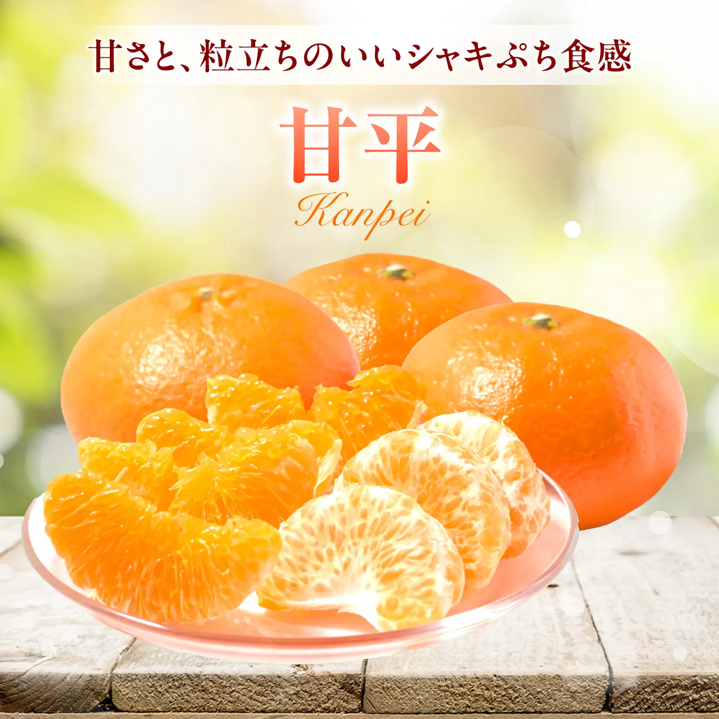 甘平 L-3Lサイズ 2.5kg フルーツ 果物 みかん BJBI008