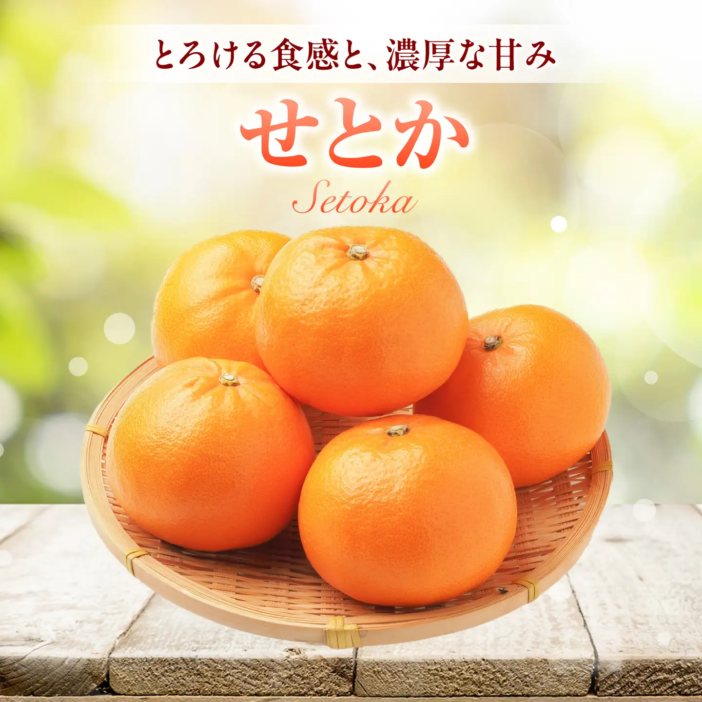 せとか L-3Lサイズ 約5kg フルーツ 果物 みかん BJBI007