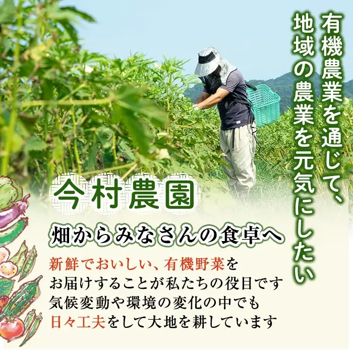 a992 《訳あり》《先行予約受付中！2026年12月上旬～2027年3月上旬の間に発送予定》有機人参 (10kg)【今村農園】姶良市 国産 有機栽培 有機 野菜 やさい にんじん ニンジン 訳アリ