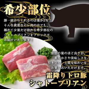 鹿児島県産 霜降り トロ豚 豚肉 希少部位 極み シャトーブリアン(300g)【KNOT】 A624