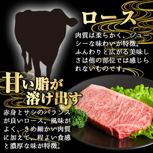 鹿児島県産 A5等級 黒毛和牛 霜降り ロース ステーキ(計600g)【KNOT】 A633-v01