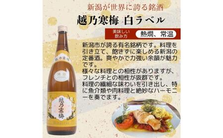 日本酒 飲み比べセット 越後銘門酒会 新潟市の銘酒 飲み比べ 720ml×4本 （越乃寒梅 越乃八豊 越の関 越路吹雪）N724A 新潟 セット 辛口 ギフト 正月 年越し
