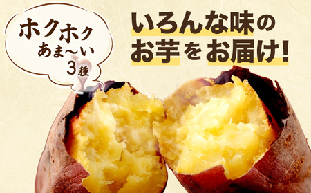 【先行予約】さつまいも食べ比べセット ３種類 合計3kg 詰め合わせ (金時さつまいも・紅はるか・シルクスイート・紫芋・フルーツこがね・ハロウィンスイート・土佐紅・みついも・紅まさり) サツマイモ さつま芋 焼き芋 やきいも 6000円 野菜