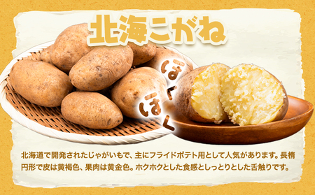 紅白じゃがいも 北海こがね レッドムーン 計5kg 若林農場《11月上旬から翌3月中旬まで順次発送》 じゃがいも 紅白じゃがいも じゃがいも じゃがいも 北海道じゃがいも
