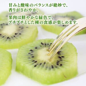 【期間限定】グリーンキウイ 2kg 落合農園 静岡県 牧之原市
