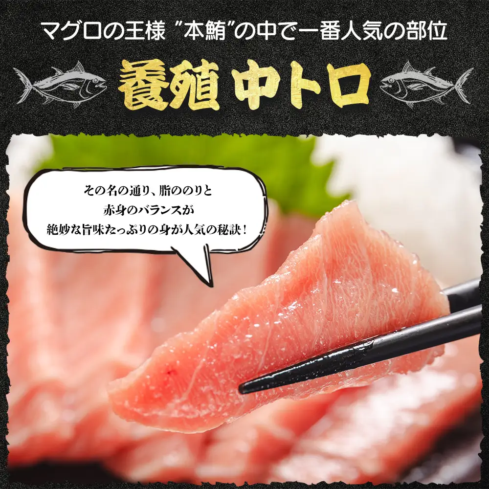 【定期便/計3回】本マグロ中トロ500g（計1.5kg）【まぐろまぐろまぐろまぐろまぐろまぐろまぐろまぐろまぐろまぐろまぐろまぐろまぐろまぐろまぐろまぐろまぐろまぐろまぐろまぐろまぐろまぐろまぐろまぐろまぐろまぐろまぐろまぐろまぐろまぐろまぐろまぐろまぐろまぐろまぐろまぐろまぐろまぐろまぐろまぐろまぐろまぐろまぐろまぐろまぐろまぐろまぐろまぐろまぐろまぐろまぐろまぐろまぐろまぐろまぐろまぐろまぐろまぐろまぐろまぐろまぐろまぐろまぐろまぐろまぐろまぐろまぐろまぐろまぐろまぐろまぐろまぐろまぐろまぐろまぐろまぐろまぐろまぐろまぐろまぐろまぐろまぐろまぐろまぐろまぐろまぐろまぐろまぐろまぐろまぐろまぐろまぐろまぐろまぐろまぐろまぐろまぐろまぐろまぐろまぐろまぐろまぐろまぐろまぐろまぐろまぐろまぐろまぐろまぐろまぐろまぐろまぐろまぐろまぐろまぐろまぐろまぐろまぐろまぐろまぐろまぐろまぐろまぐろまぐろまぐろまぐろまぐろまぐろまぐろまぐろまぐろまぐろまぐろまぐろまぐろまぐろまぐろまぐろまぐろまぐろまぐろまぐろまぐろまぐろまぐろまぐろまぐろまぐろまぐろまぐろまぐろまぐろまぐろまぐろまぐろまぐろまぐろまぐろまぐろまぐろまぐろまぐろまぐろまぐろまぐろまぐろまぐろまぐろまぐろまぐろまぐろまぐろまぐろまぐろまぐろまぐろまぐろまぐろまぐろまぐろまぐろまぐろまぐろまぐろまぐろまぐろまぐろまぐろまぐろまぐろまぐろまぐろまぐろまぐろまぐろまぐろまぐろまぐろまぐろまぐろまぐろまぐろまぐろまぐろまぐろまぐろまぐろまぐろまぐろまぐろまぐろまぐろまぐろまぐろまぐろまぐろまぐろまぐろまぐろまぐろまぐろまぐろまぐろまぐろまぐろまぐろまぐろまぐろまぐろまぐろまぐろまぐろまぐろまぐろまぐろまぐろまぐろまぐろまぐろまぐろまぐろまぐろまぐろまぐろまぐろまぐろまぐろまぐろまぐろまぐろまぐろまぐろまぐろまぐろまぐろまぐろまぐろまぐろまぐろまぐろまぐろまぐろまぐろまぐろまぐろまぐろまぐろまぐろまぐろまぐろまぐろまぐろまぐろまぐろまぐろまぐろまぐろまぐろまぐろまぐろまぐろまぐろまぐろまぐろまぐろまぐろまぐろまぐろまぐろまぐろまぐろまぐろまぐろまぐろまぐろまぐろまぐろまぐろまぐろまぐろまぐろまぐろまぐろまぐろまぐろまぐろまぐろまぐろまぐろまぐろまぐろまぐろまぐろまぐろまぐろまぐろまぐろ】  Woo-0023