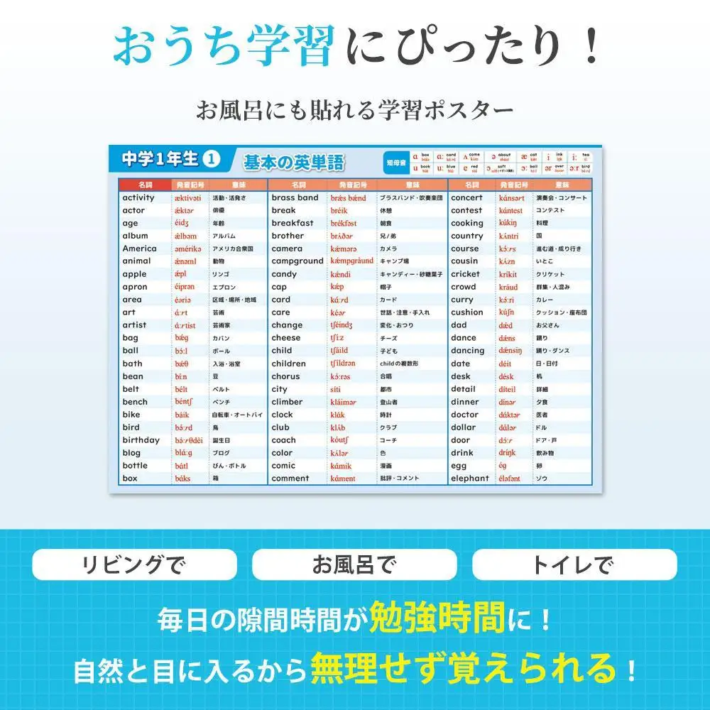 学習ポスター　英語　中学一年　基本の英単語【A4ユポ紙8枚＋A4コート紙8枚セット】