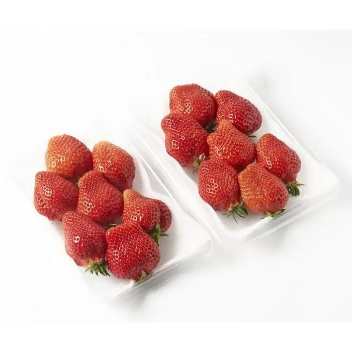 【2027年1月～3月出荷予定】完熟 大粒 あまおう イチゴ 280g×2パック(約560g)＜配送不可：北海道、沖縄県、離島＞