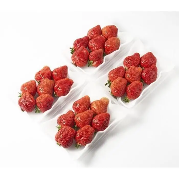 【2027年1月～3月出荷予定】完熟 大粒 あまおう イチゴ 280g×4パック(約1120g)＜配送不可：北海道、沖縄県、離島＞