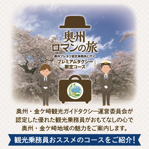胆江地区タクシー乗車券 3,000円(金券) [BA005]