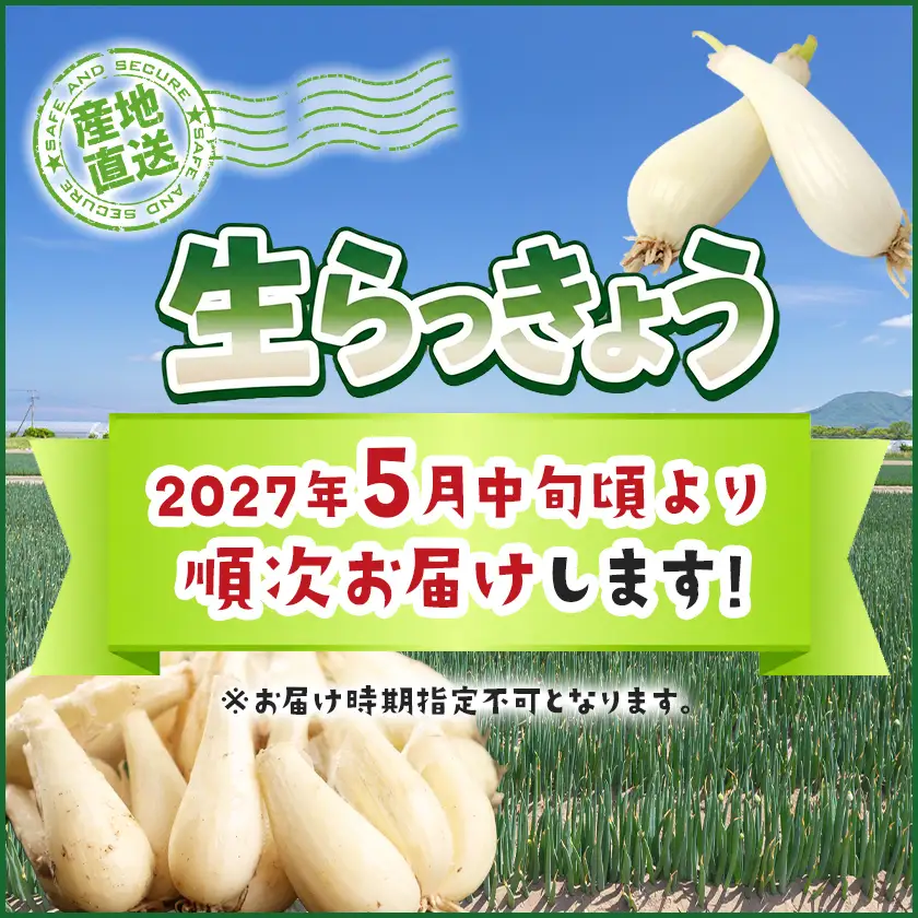 【先行受付!】根付き土付き生らっきょう5kg≪2027年5月中旬以降順次お届け≫〔13-L7-001-5kg〕