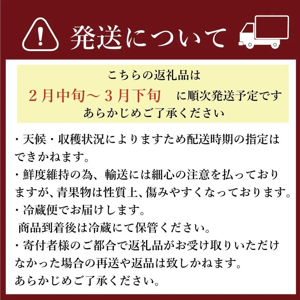 ★先行予約★いちごの王様 福岡県産博多あまおう250g×4パック【2027年2月中旬～3月順次出荷予定】