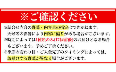 K-225-B ＜定期便・全12回＞霧島市産の野菜おまかせBOX(17個前後)【FoodBase】霧島市 国産 野菜 やさい セット せっと おまかせ 詰め合わせ 旬 定期便