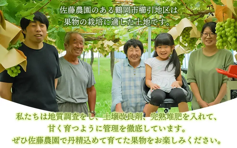 【令和8年産先行予約】 シャインマスカット・ピオーネ (各1房ずつ) 約1kg　佐藤農園