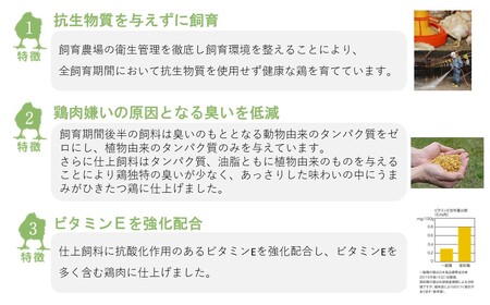 定期便【6回】菜彩鶏 鶏肉 ももむね計4kg 鶏肉定期便