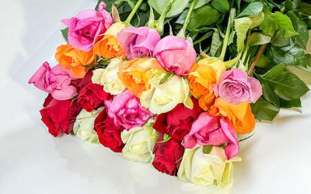 バラ 混合（40‐50本）| 花 バラ 薔薇 生花 ローズ 贈り物 プレゼント ギフト【2026年11月下旬頃迄発送予定】