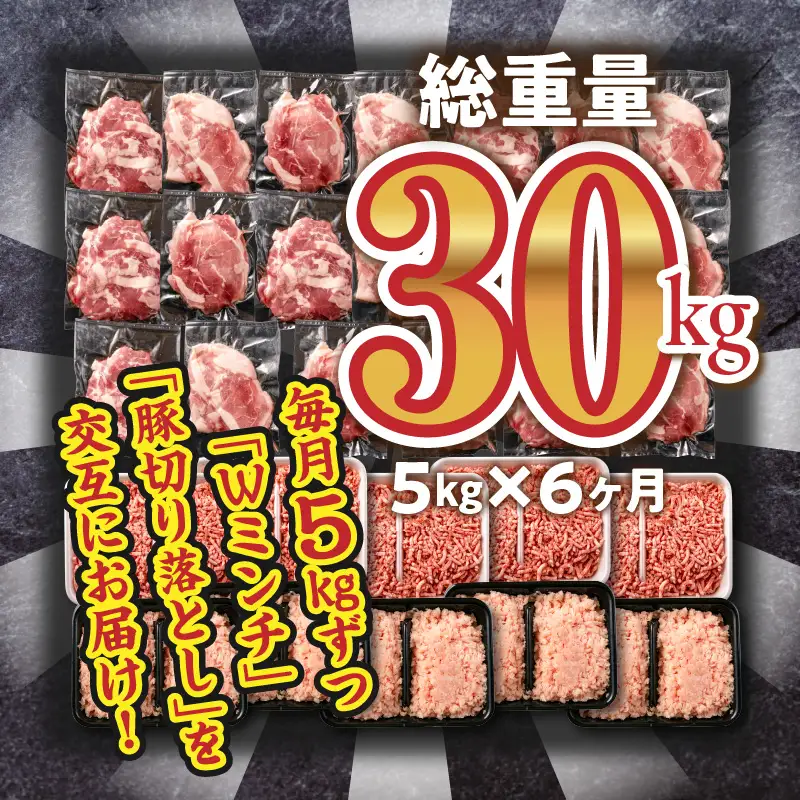 数量限定 6か月 お楽しみ 定期便 豚肉 鶏肉 ミンチ 豚 切り落とし セット 総重量30kg 6回 国産 おかず 食品 ひき肉 挽肉 万能食材 鍋 つくね ハンバーグ 豚丼 お祝 記念日 おすすめ お弁当 おつまみ 小分け 個包装 冷凍 おすそ分け 宮崎県 日南市 送料無料_MH2-24