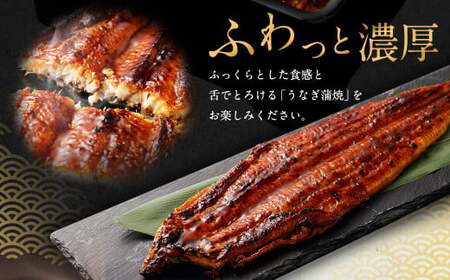 【隔月3回定期便】国産 うなぎ 蒲焼 4尾 （920g～1kg）と 特製 タレ 4個 セット