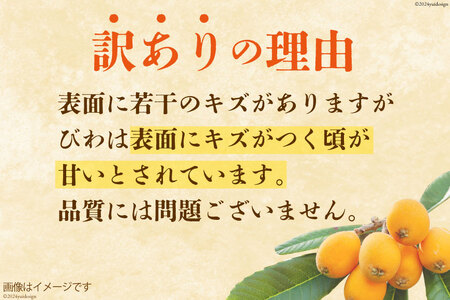 BI208 【令和9年度出荷分】訳あり 長崎 びわ 500g 温室ハウス栽培 長崎早生