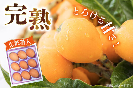 BI209 【令和9年度出荷分】赤秀 長崎 びわ 500g 温室ハウス栽培 長崎早生
