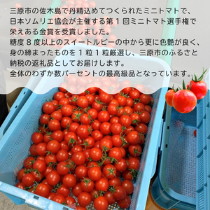 トマト【先行受付】 広島県産 スイートルビートマト1kg 2026年12月中旬以降発送 野菜 やさい 食品 ミニトマト とまと 金賞受賞 三原市 甘い 032001