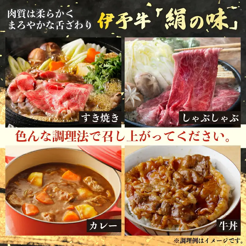 国産牛 バラ 切り落とし 600g 伊予牛 「 絹の味 」 氏原精肉店 牛 牛肉 ぎゅうにく お肉 肉 ブランド牛 高級 niku にく おにく 切落し すき焼き すきやき しゃぶしゃぶ 鍋 焼肉 牛丼 カレー アレンジ 美味しい 冷凍 産地直送 数量限定 特産品 国産 愛媛 宇和島 E015-190002