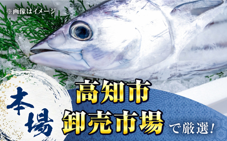 【12回定期便】満腹!かつおのたたき 総計約15.6kgから18kg / かつお たたき かつおたたき かつおのたたき かつお たたき かつおたたき かつおのたたき[ATAF094]