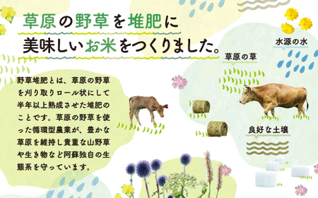 おとみや日和　　阿蘇の名水と野草堆肥のめぐみ	　玄米20kg（10kg x 2袋）				