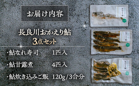 鮎 おかえり鮎　珍味加工品3点セット [ANDL010] 鮎