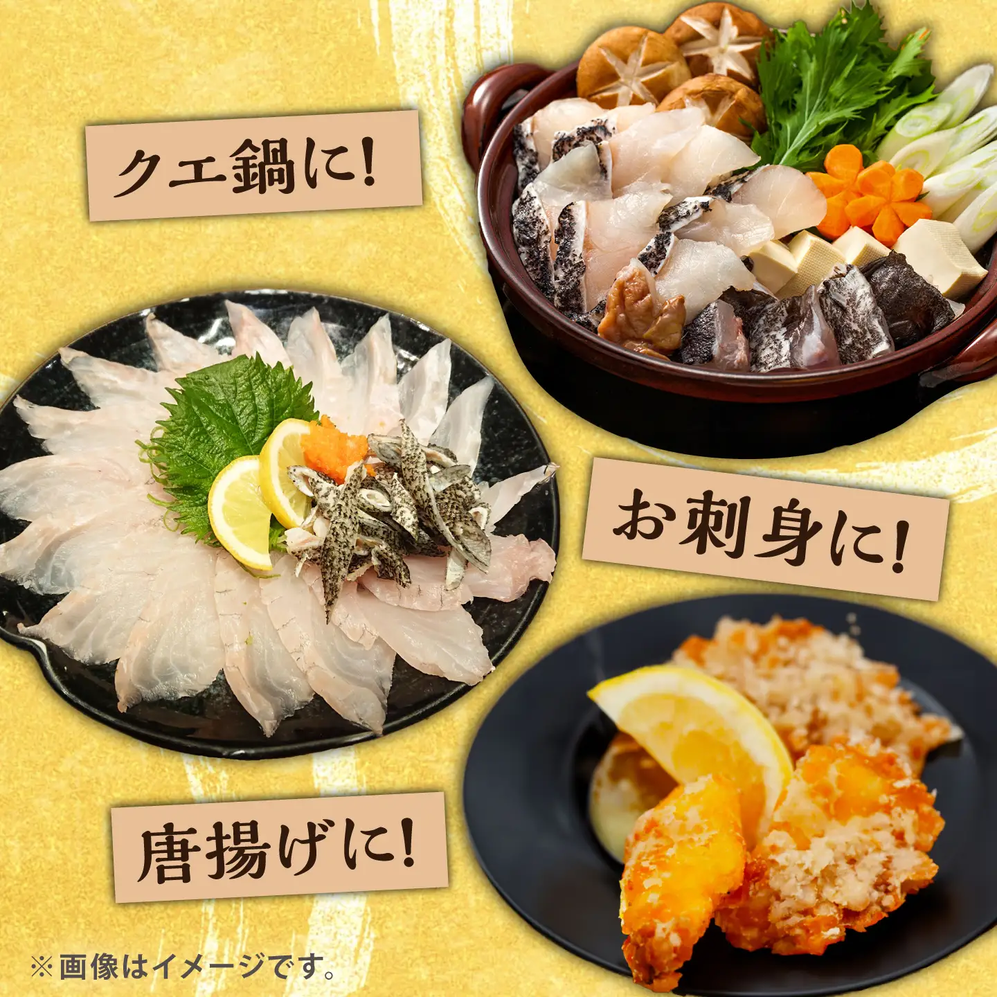 【1週間以内発送】対馬産クエ 丸ごと1匹 2.3kg以上！[WCN005]直送 新鮮 マルモン 鍋 くえ アラ  スピード発送 最速発送 最短発送