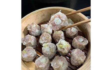 天栄長ネギ 焼売 8個入り 惣菜 中華 冷凍 おかず 葱 ねぎ しゅうまい シュウマイ F21T-324