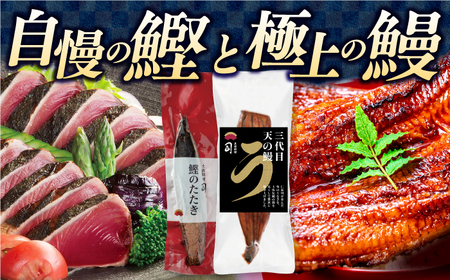 【6回定期便】鰹たたき3節 うなぎ蒲焼1尾 / 鰹 鰹たたき 鰹のたたき 鰻 鰻蒲焼 鰻蒲焼き[ATAD064]