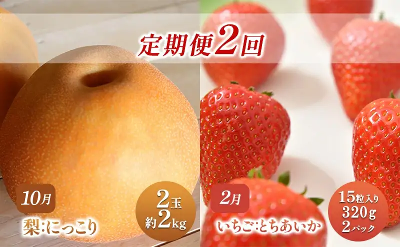【 定期便 2回 】 大玉な梨 にっこり 2玉 約2kg と いちご市 鹿沼の 美味しい「い」「ち」「ご」とちあいか 15粒入り320g 2パック のフルーツ 定期便 ｜ 梨 いちご 鹿沼市 かぬま ※2026年10月～発送