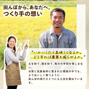 令和7年産 新潟県産 コシヒカリ 5kg そうえん米 特別栽培米 お米 米 kome 白米 ご飯 こめ ごはん ライス ふるさと納税米 コシヒカリ お弁当 玄米 そうえん米 数量限定 とんとん市場 せいだ 新潟 新発田 D81_03