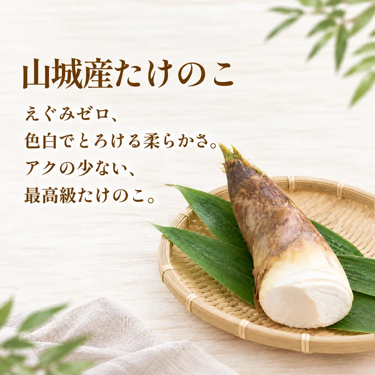 京都山城産 朝掘りたけのこ 約 2kg (4月発送) たけのこ 