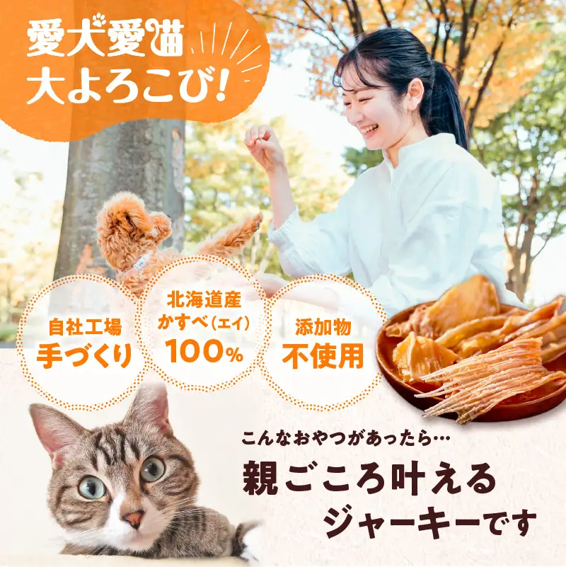 【5営業日以内に発送】アスランエゾベニソン かすべジャーキー 40g × 5袋 入り 無添加 手作り T012-018 ペット用品
